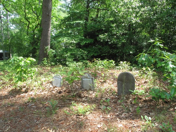 Three headstones in a row in a wooded area in springtime.